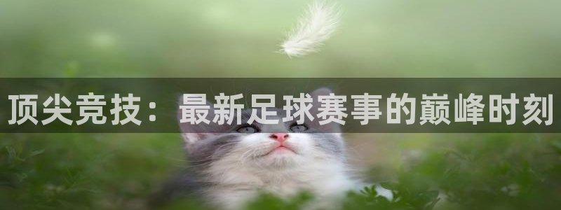 od体育登陆入口