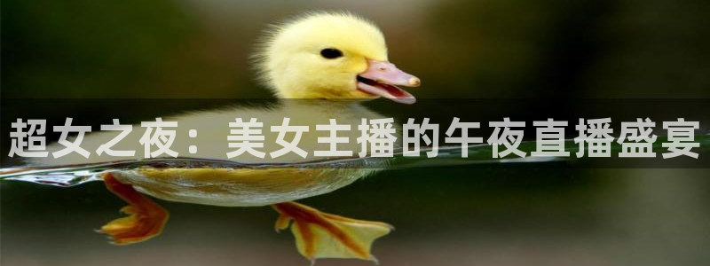 蜘蛛体育可可：超女之夜：美女主播的午夜直播盛宴