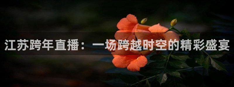蜘蛛体育直播小狐狸：江苏跨年直播：一场跨越时空的精彩盛宴