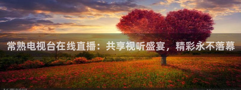 nba蜘蛛：常熟电视台在线直播：共享视听盛宴，精彩永不落幕