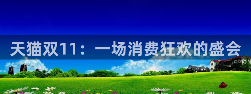jrs蜘蛛直播球帝带：天猫双11：一场消费狂欢的盛会